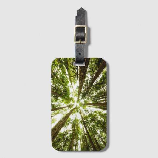 Lush Green Rain Forest Bagagelabel (Voorkant (verticaal))