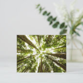 Lush Green Rain Forest Briefkaart (Staand voorkant)