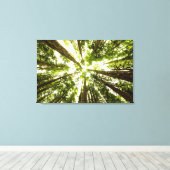 Lush Green Rain Forest Canvas Afdruk (Insitu (Houten vloer))