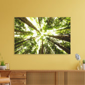 Lush Green Rain Forest Canvas Afdruk (Insitu (Woonkamer))
