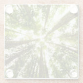 Lush Green Rain Forest Glazen Onderzetter (Achterkant)