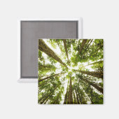 Lush Green Rain Forest Magneet (Voorkant / Achterkant)
