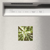 Lush Green Rain Forest Magneet (Insitu (Vaatwasser))