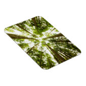 Lush Green Rain Forest Magneet (Rechterzijde)