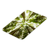 Lush Green Rain Forest Magneet (Linkerzijde)