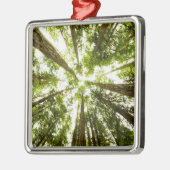Lush Green Rain Forest Metalen Ornament (Links)