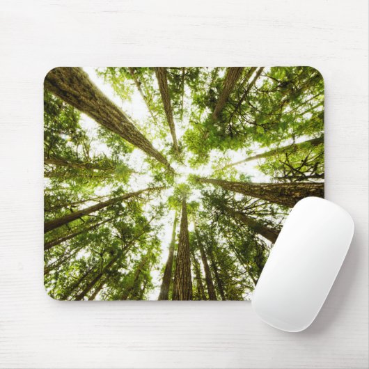 Lush Green Rain Forest Muismat (Met muis)