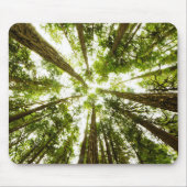 Lush Green Rain Forest Muismat (Voorkant)