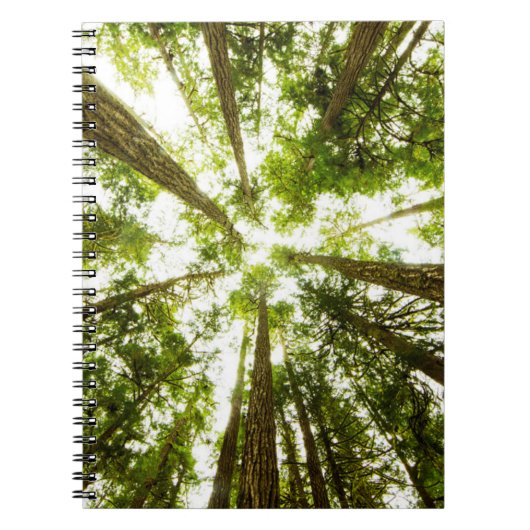 Lush Green Rain Forest Notitieboek (Voorkant)