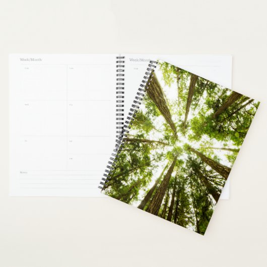 Lush Green Rain Forest Planner (Display)