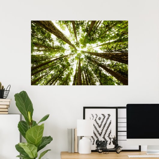 Lush Green Rain Forest Poster (Thuiskantoor)