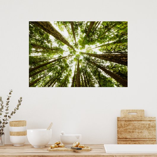 Lush Green Rain Forest Poster (Keuken)