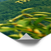 Lush Green Smoky Mtns /Mtns die belt! Poster (Hoek)