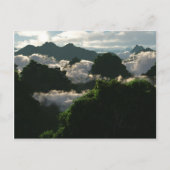 Lush Lands Briefkaart (Voorkant)