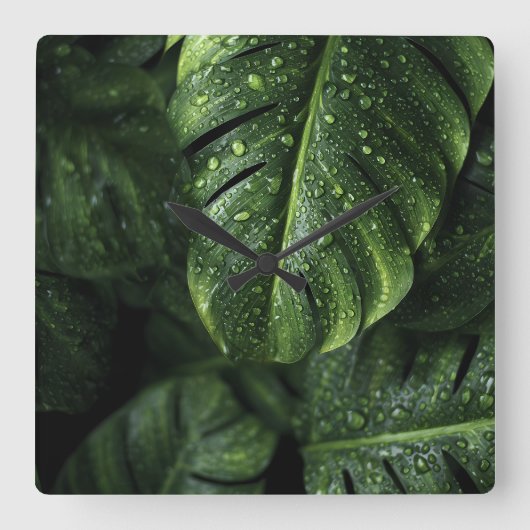 Lush Monstera Leaves with Morning Dew Drops Vierkante Klok (Voorkant)