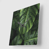 Lush Monstera Leaves with Morning Dew Drops Vierkante Klok (Hoek)