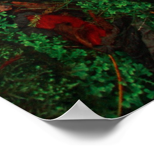 Lush Natural Colors Poster (Hoek)