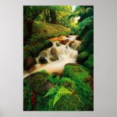 Lush Natural Colors Poster (Voorkant)