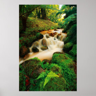 Lush Natural Colors Poster