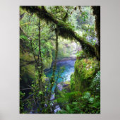Lush Oerwoud River Poster (Voorkant)