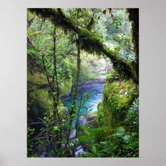 Lush Oerwoud River Poster