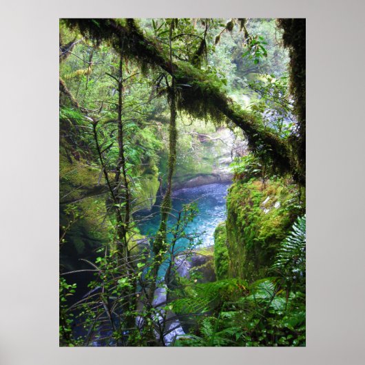 Lush Oerwoud River Poster (Voorkant)