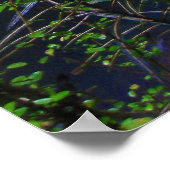 Lush Oerwoud River Poster (Hoek)