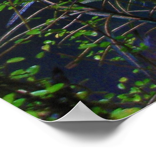 Lush Oerwoud River Poster (Hoek)