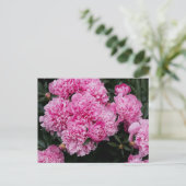 Lush Pink Peony Garden Floral Fine Art Briefkaart (Staand voorkant)