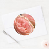 Lush Pink Rose Stickers (Envelop)