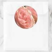 Lush Pink Rose Stickers (Tas)