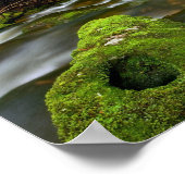 Lush Rain Forest Stream Poster (Hoek)