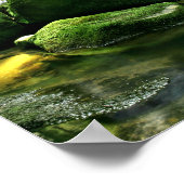 Lush Rain Forest Waterfall in Sunlight Poster (Hoek)