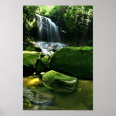 Lush Rain Forest Waterfall in Sunlight Poster (Voorkant)