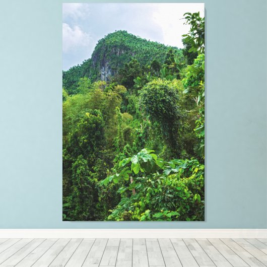 Lush regenwoud en el yunque piek canvas afdruk (Insitu (Houten vloer))