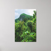 Lush regenwoud en el yunque piek canvas afdruk (Voorkant)