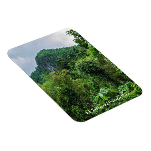 Lush regenwoud en el yunque piek magneet (Rechterzijde)