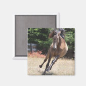 Lusitano Horse bij Liberty Magnet (Voorkant / Achterkant)