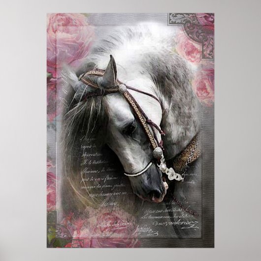Lusitano Horse - Poster (Voorkant)