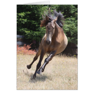 Lusitano-paard in vrijheid Lege kaart