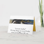 Lusitano Stallion Horse Wenskaart Kaart (Achterkant)