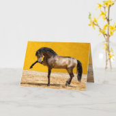 Lusitano Stallion Horse Wenskaart Kaart (Gele Bloem)