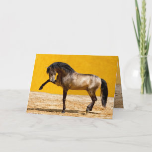 Lusitano Stallion Horse Wenskaart Kaart