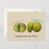 Lustige Orangen Briefkaart (Voorkant / Achterkant)