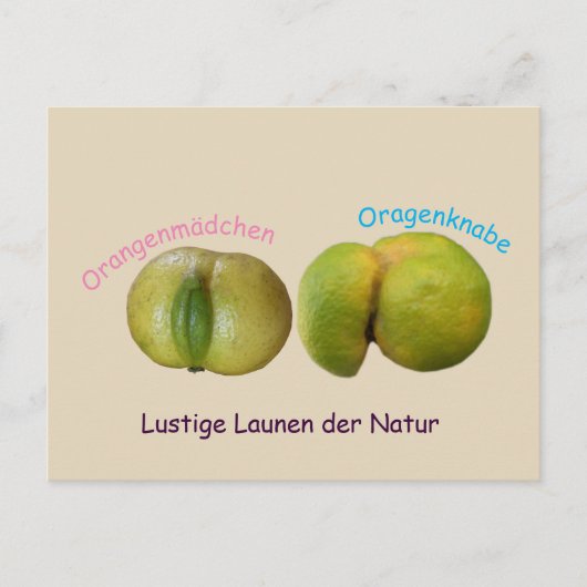 Lustige Orangen Briefkaart (Voorkant)