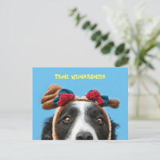 Lustiger Border Collie wünscht frohe Weihnachten Briefkaart