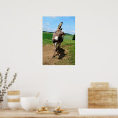 Lustiger Esel Poster (Keuken)