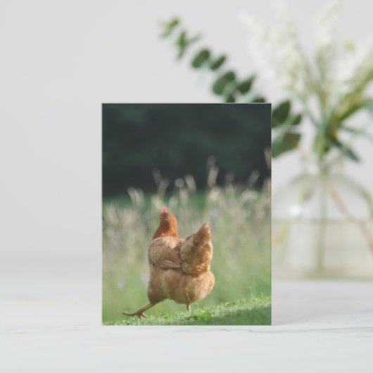 Lustiges Huhn Tiermotive Bauernhof Tiere Briefkaart (Staand voorkant)