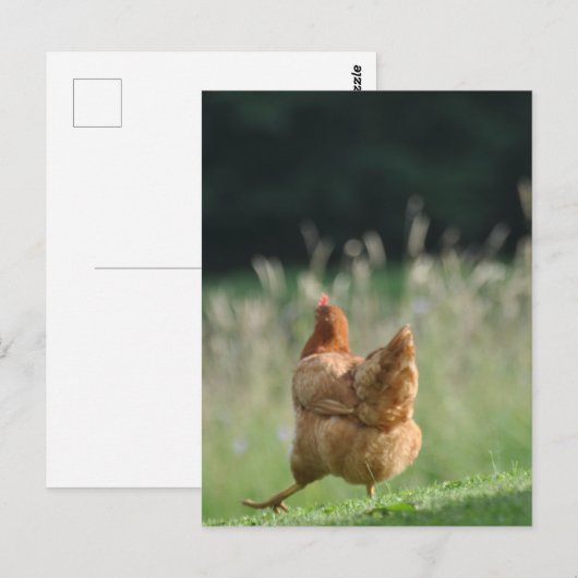 Lustiges Huhn Tiermotive Bauernhof Tiere Briefkaart (Voorkant / Achterkant)
