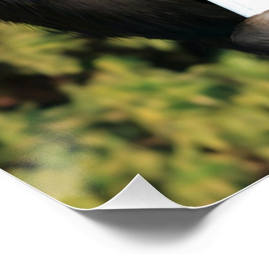 Lustiges WC Poster (Hoek)